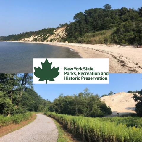 Autumn Nature Walk at Hallock State Park Preserve Riverhead Free Library